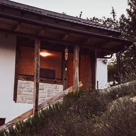 Kuca Za Odmor Olympus Villa Vinica Exterior photo